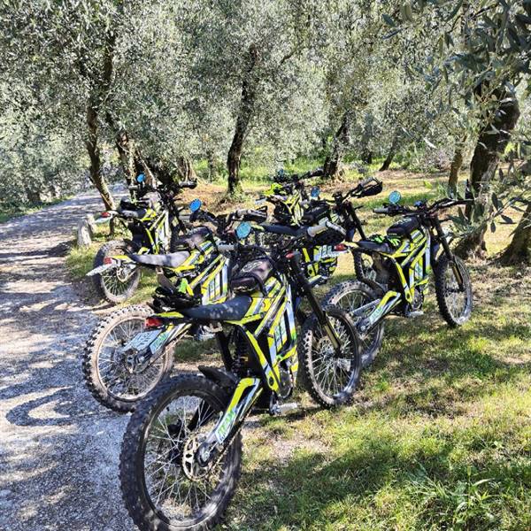 Talaria Sting 4000